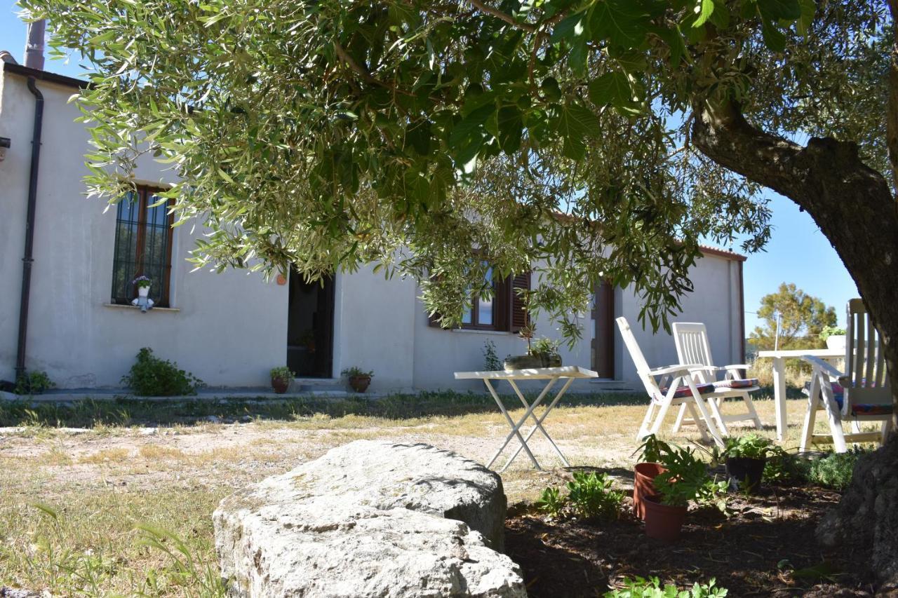 Su Cuile Historical Country House With Barbecue Martis Kültér fotó