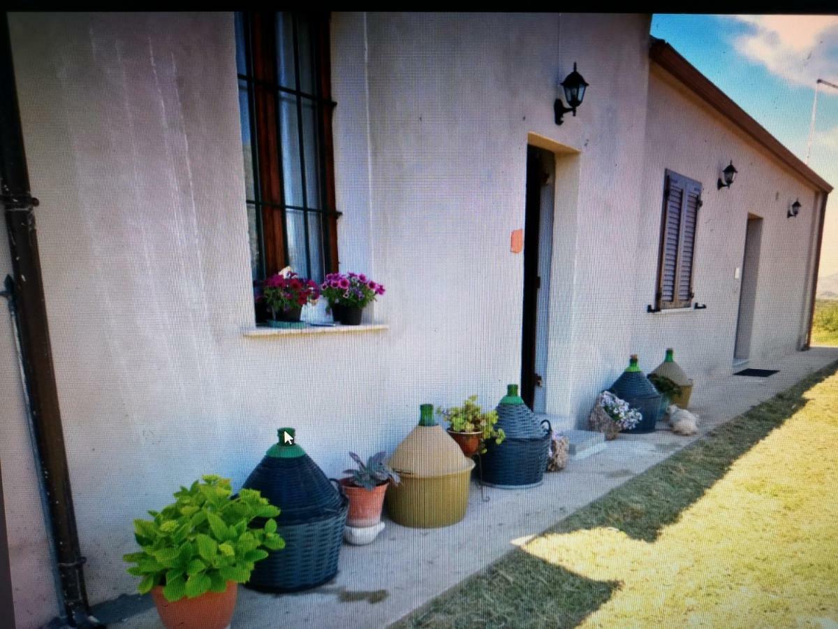 Su Cuile Historical Country House With Barbecue Martis Kültér fotó